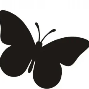 Autentyczny NAKLEJKA NA SAMOCHÓD MOTYL 10cm 2 sztuki!