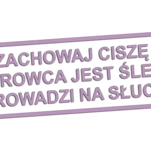 Wycinana naklejka ZACHOWAJ CISZĘ KIEROWCA JEST ŚLEPY liliowa - J and A Bezpieczna płatność