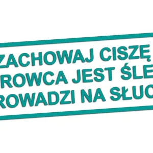 Oryginalny Wycinana naklejka ZACHOWAJ CISZĘ KIEROWCA JEST ŚLEPY turkusowa - J and A