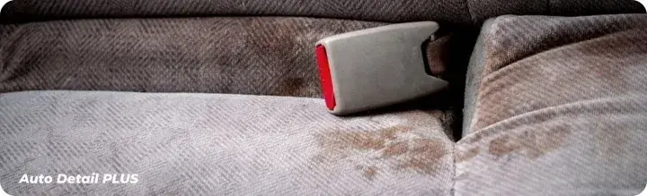 Zamów teraz GLOBAL Auto Detail Plus S700 5l prespray do prania tapicerki dywanów PR4